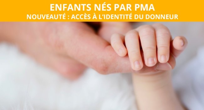 identite-donneur-pma