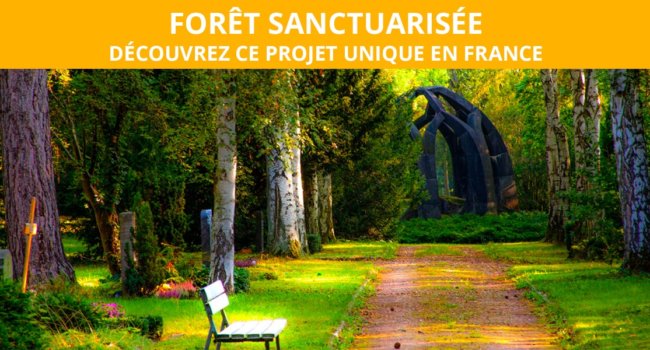 ARTICLE-FORET-SANCTUARISÉE